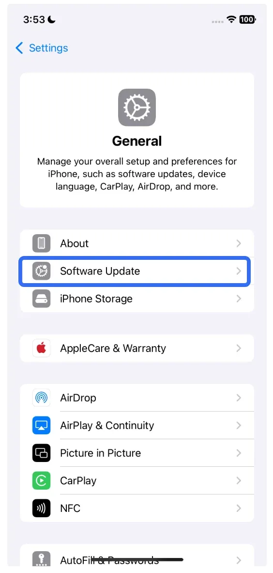 检查 iPhone 软件更新